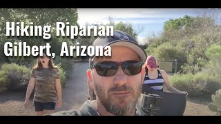Hiking Scenic Tour Riparian Preserve Hiking Gilbert Arizona