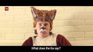 Explore Exify - What Does The Fox Say