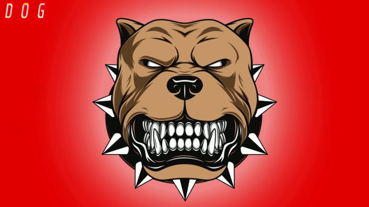 TYPE BEAT ''Dog'' YouTube