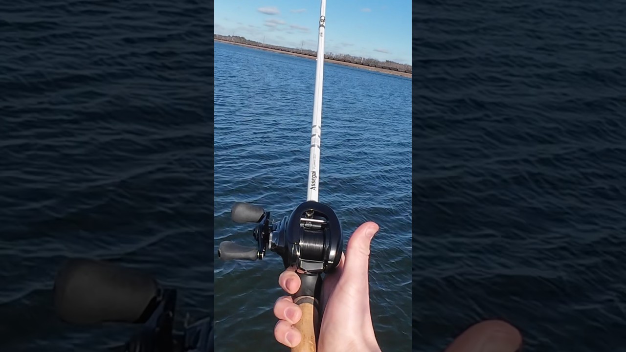 DIGITAL CHIP Fishing Reels Are CRAZY!