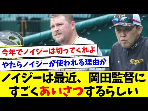 【残留ある？】ノイジーは最近、岡田監督にすごくあいさつするらしい【なんJ反応】【プロ野球反応集】【2chスレ】【5chスレ】