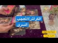 اختار كارت تاروت الكراش الم عجب الس ري هل بيراقبك في السر هل بيبادلك المشاعر رأيه فيك تاروت 