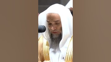 تلاوة مرئية | ما تيسر من سورة الزمر | الشيخ فيصل غزاوي