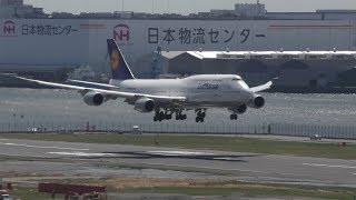 4K Lufthansa B747-8I D-Abyk Landing Airport Rwy34L羽田空港