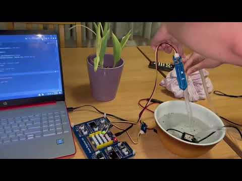 EECS 1021 Minor Project
