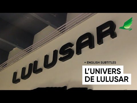 Miniature : Plongée dans l'univers de Lulusar