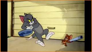 Tom And Jerry
