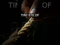 The Camel and Needle: A Hidden Biblical Truth #Shorts