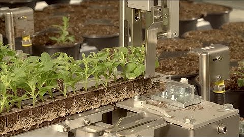 AutoStix Media Strip