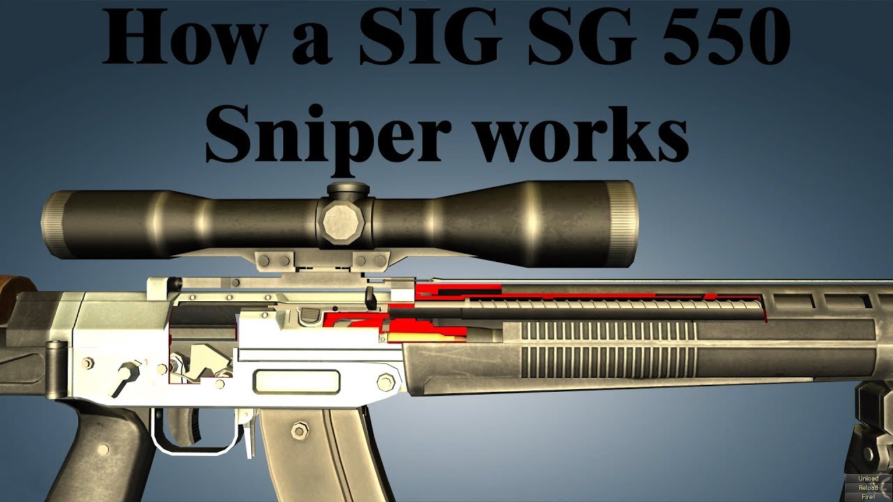 How A Sig Sg 550 Sniper Works Youtube