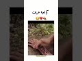 رجعونا لأيام الطفولة