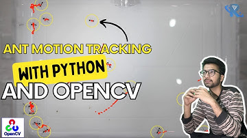 Ant Motion Tracking with Opencv and Python