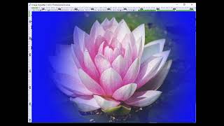 Image Vignettes! Apply Different Image Vignette Effects On Your Images!