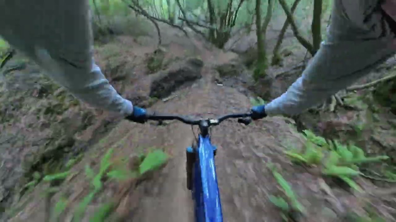 Dirt Surfin - Bay Area 