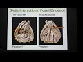 Parasitism and Predation on Fossil and Extant Crinoids”