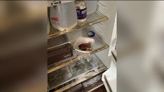 12 children, elderly woman found in home with deplorable conditions in Dixmoor