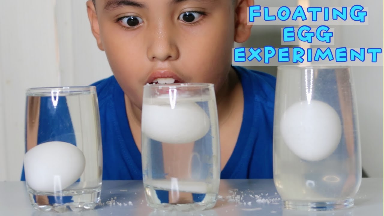 what is the hypothesis of floating egg science experiment