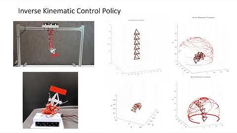 HEDRA: A Bio-Inspired Modular Tensegrity Soft Robot With Polyhedral Parallel Modules