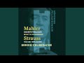Miniature de la vidéo de la chanson Kindertotenlieder: V. In Diesem Wetter, In Diesem Braus…