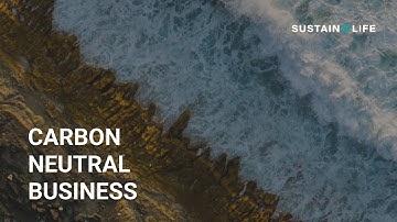 How can a company go carbon neutral?