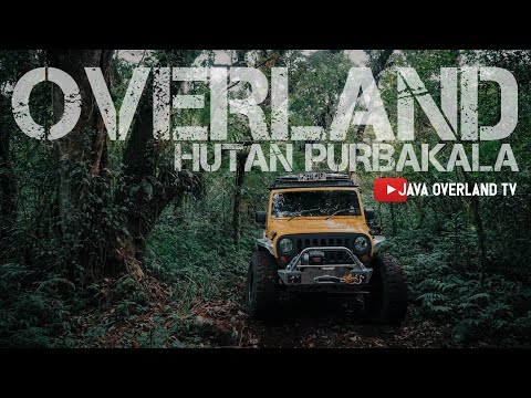 Java Overland 4x4 Explore Gunung Lawu - Hutan Purbakala