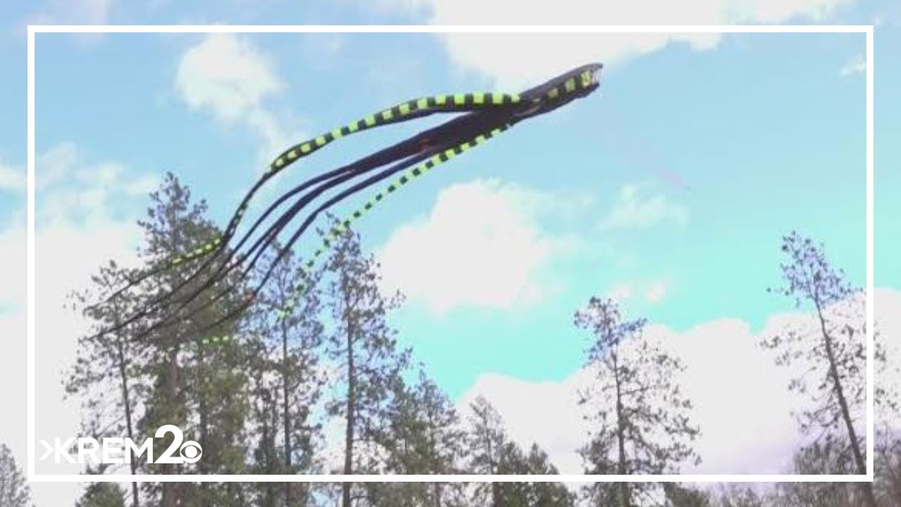 リネ・タトウィラー、【A Great Day to Fly A Kite】 Wind advisory turns Spokane park into kite-flying delight for