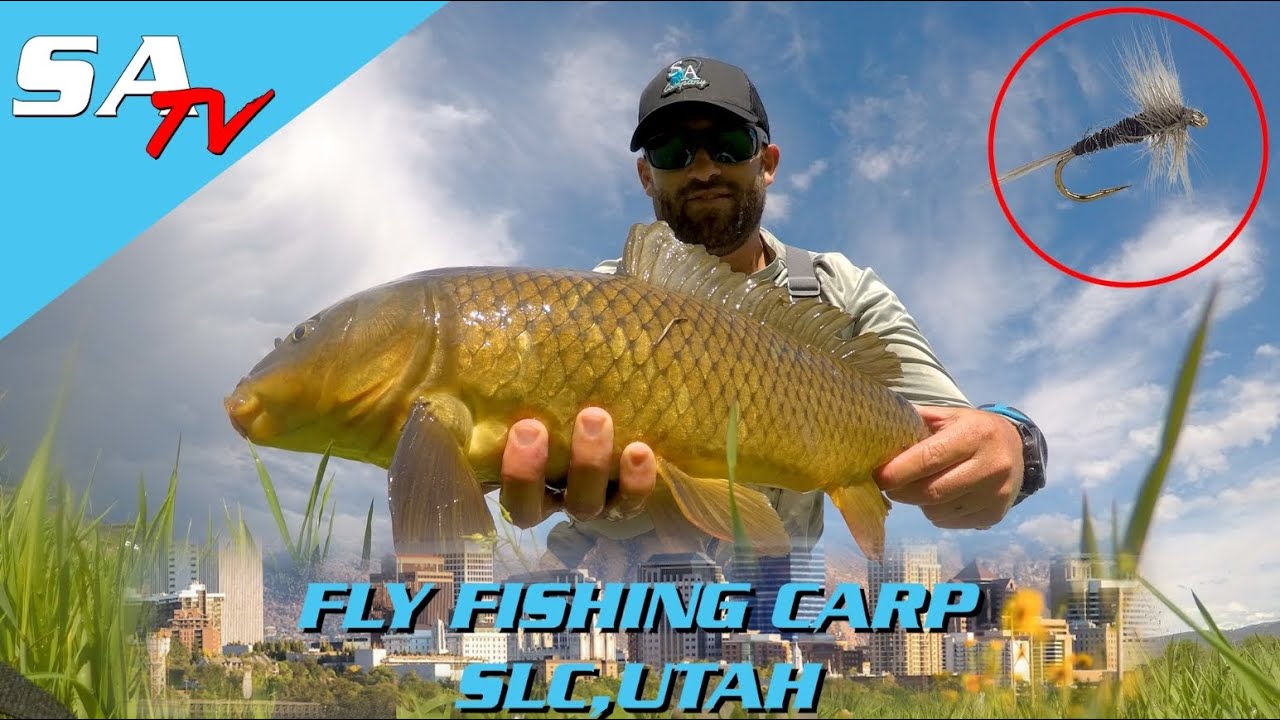SA Co  Catching Carp on The Fly 