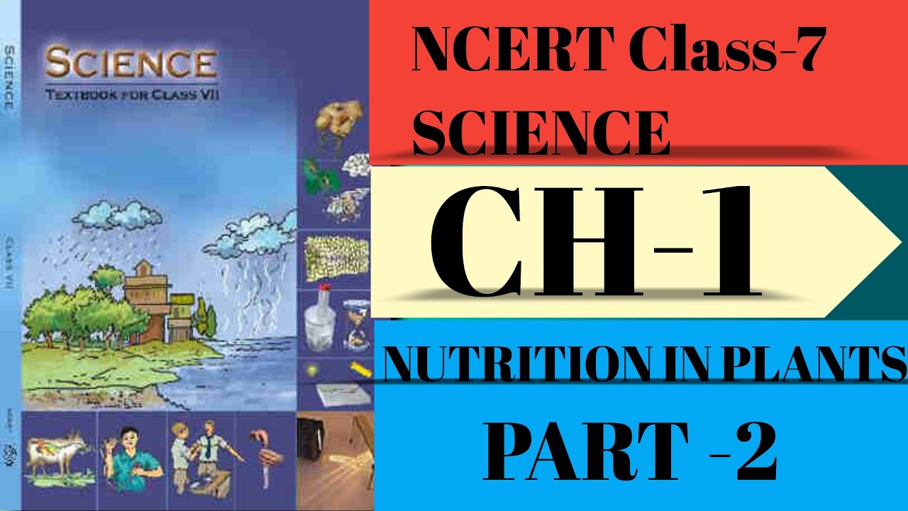 ncert class 7 science chapter 1 nutrition in plants part-2||Part-2 ...