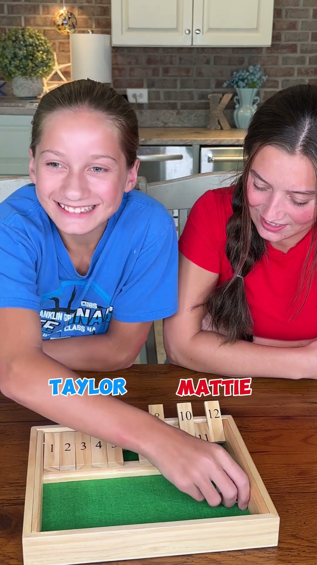 Shut the box game!! #fun #shutthebox #partygames