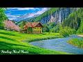 Gentle Relaxing Music Healing Music For The Soul Reduces Anxiety And Stops Overthinking 