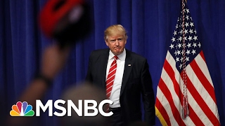 GOP Senators Want President Donald Trump Tougher On Vladimir Putin | MSNBC