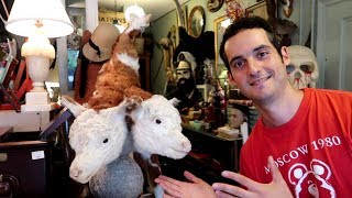NYC's WEIRDEST Store ! 😱 (Obscura Antiques & Oddities)