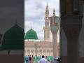 Surah Al-Fath ayat #shorts #viralshorts #qurantranslation #youtubeshorts #yt
