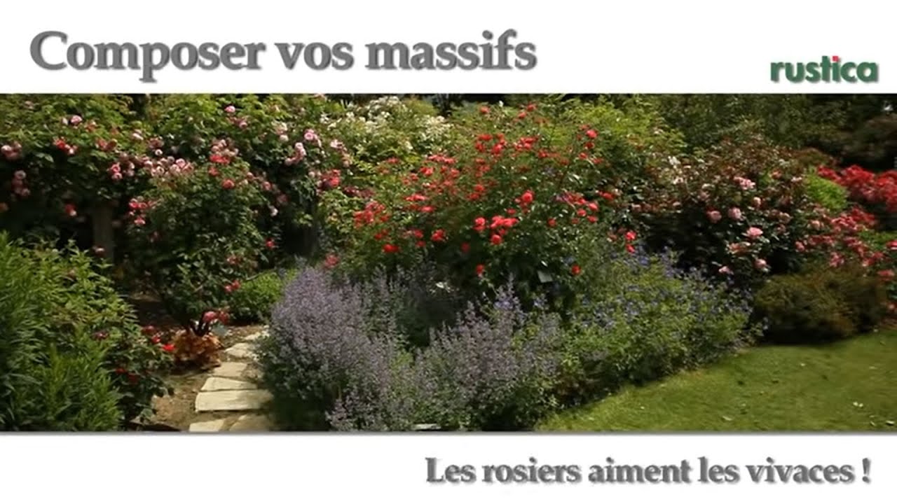 Comment Faire Qu Un Massif De Rosier En Video