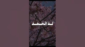 سورة القصص