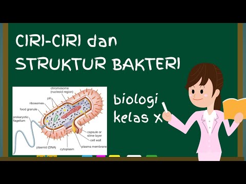 Ciri Dan Struktur Bakteri Kelas 10 | Materi Biologi SMA