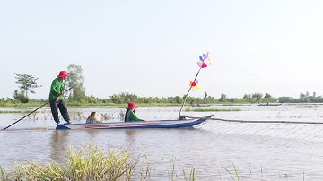 Hội thi “Kéo Côn bắt cá mùa nước nổi”  - Tin tức