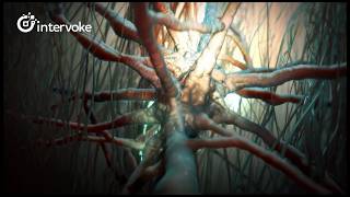 Science of the Human Brain