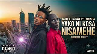 NISAMEHE by Diameter Pallet (Official music video) Shit it by nicklass #4k #new #usa #kidampa