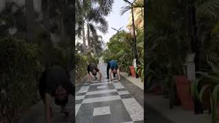 Cat walk 🔥😱 #shorts #youtube #youtubevideos #anandyogdarshan #catwalk