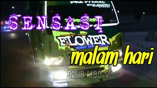 PESONA TRUK FLOWER DI MALAM HARI - STORY WA TRUK MBOIS KEREN #CCTVAMATIROYI02
