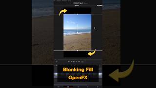 Filled black border with Blanking Fill OpenFX แก้ปัญหาคลิปขอบดำด้วย Blanking Fill #จารย์กุ้ง