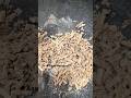 #slatecruncher#eat#satisfying satisfying #clay #handbuiltpottery