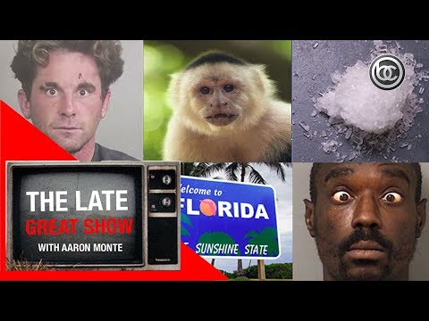 monkeys,-crystal-meth-&-more-weird-florida-news