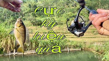Câu Lure Cá Rô Phi Bằng Thẹo Bọ Cực Kỳ Hiệu Quả - Hạnh Fishing