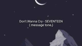 Don't Wanna Cry - Seventeen [ message tone ]