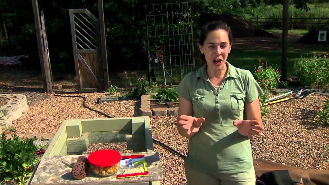 Full Show 9/13/14 (4111)