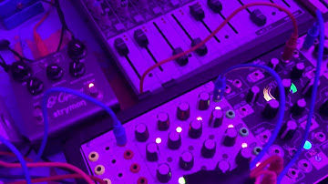 Amazing fun with the TipTop Audio Z8000 Matrix Sequencer