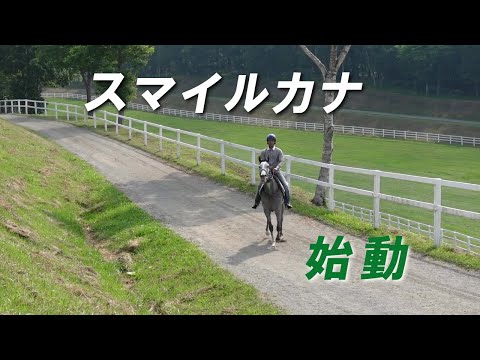 スマイルカナ始動 