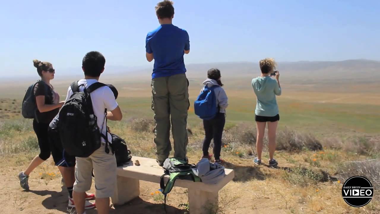 The Hiking Club seeks adventure